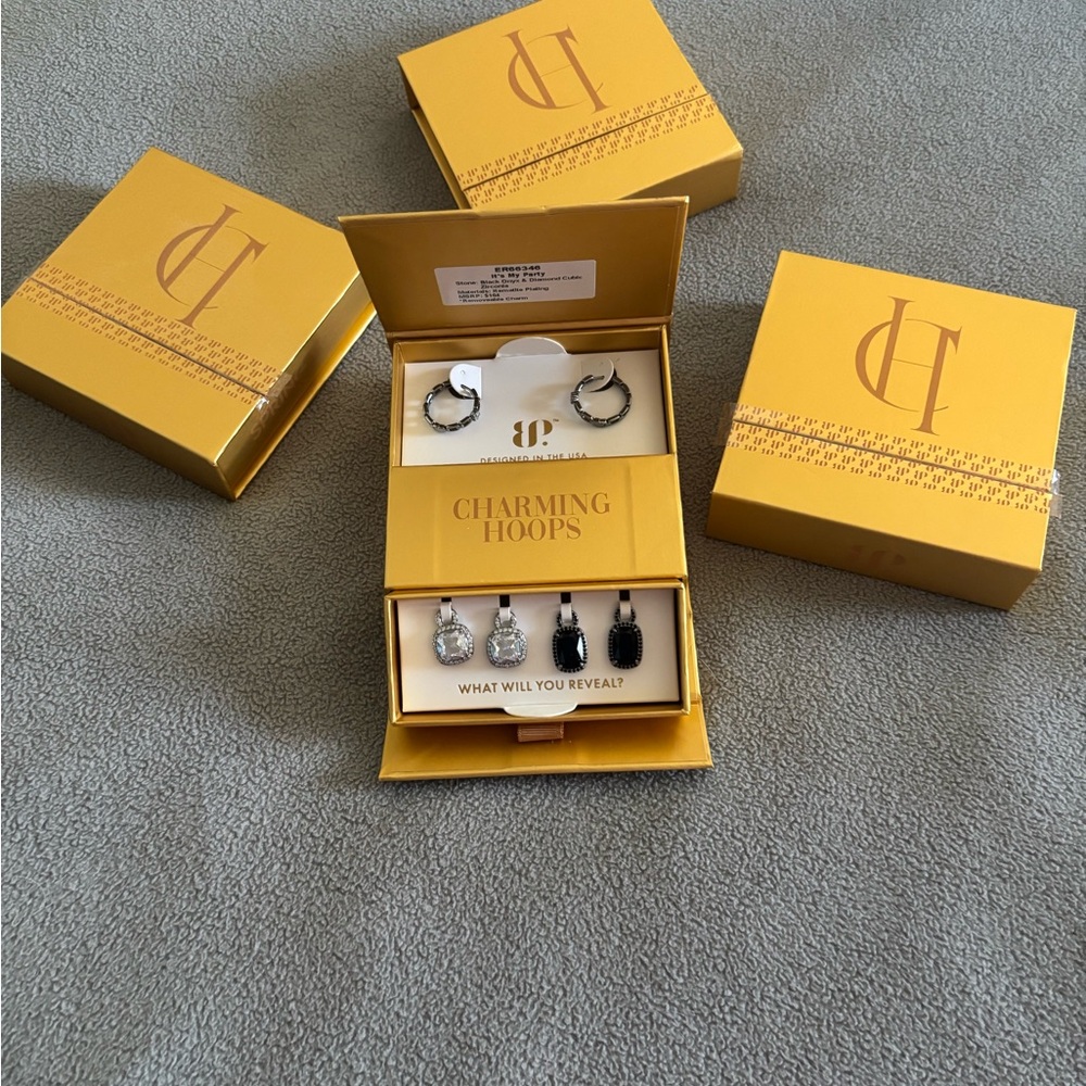 Charming Hoops Silver and Black Earring Set